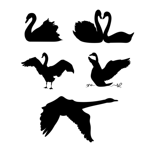 Swan vector silhouettes. - Vecteur, image