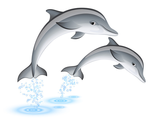 Jumping dolphins - Vector, Image