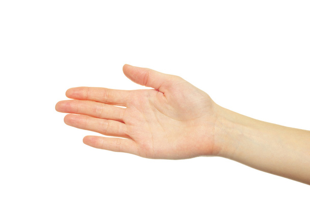 Hand on white - Фото, зображення