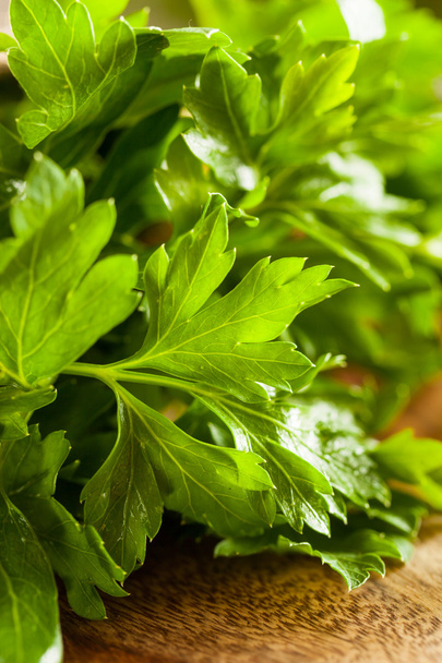 Organic Italian Flat Leaf Parsley - Foto, Bild