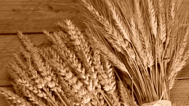 nature morte avec blé et orge
 - Séquence, vidéo