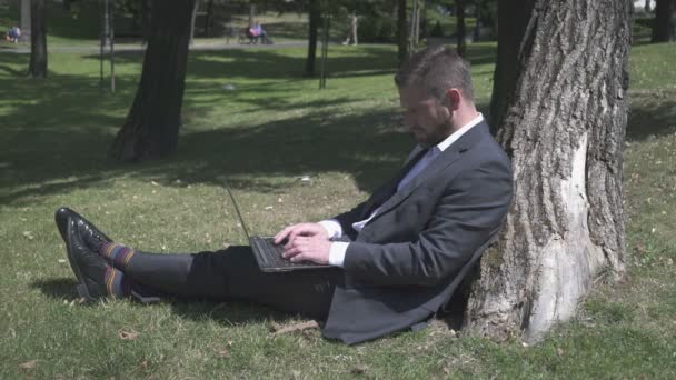Zakenman zittend onder boom in Park, werken op laptop. - Video