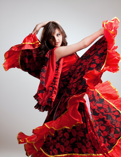 Flamenco, studio shot - Фото, изображение