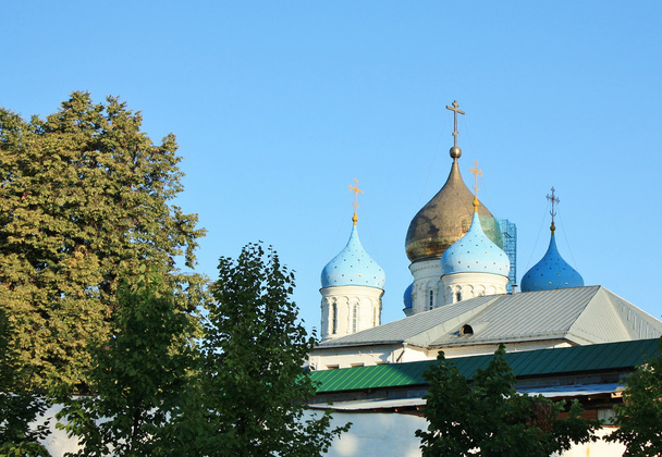 Domes of the Novospassky Monastery in Moscow - Fotoğraf, Görsel