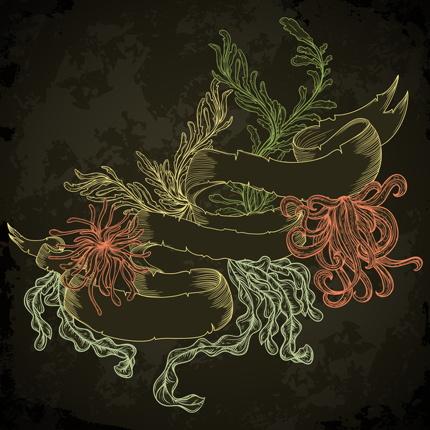 Collection of marine plants, seaweed and ribbon banner . Vintage set of hand drawn marine flora. Isolated vector illustration in line art on grunge background. Design for summer beach, decorations. - Διάνυσμα, εικόνα