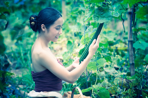 Asia mooie vrouw en mand oogsten met courgette - Foto, afbeelding