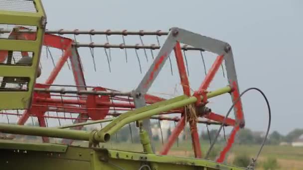 Combina strabismo verde nei cereali da campo sul campo su uno sfondo di
 - Filmati, video