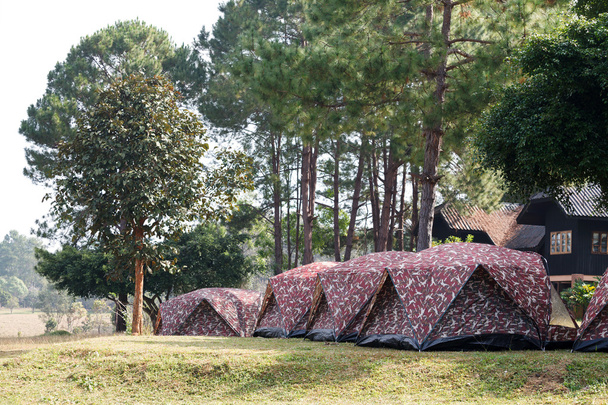 Dome namiot camping w Thung Salang Luang Park Narodowy Phetchabun - Zdjęcie, obraz