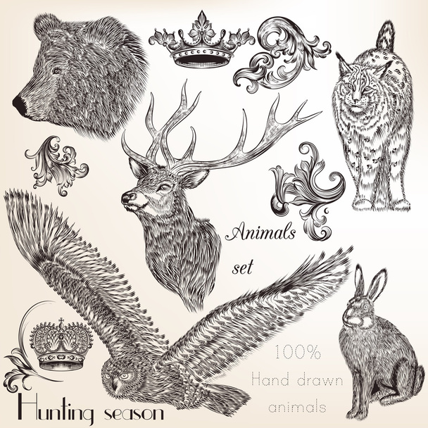 Set of vector hand drawn animals - Vector, afbeelding