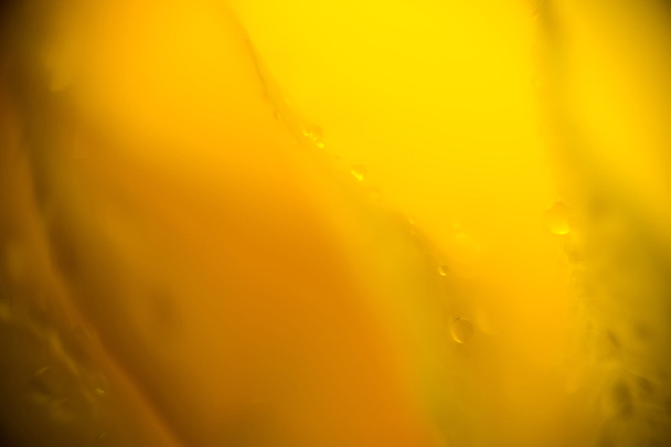 Natte gele roos Supermacro - Foto, afbeelding