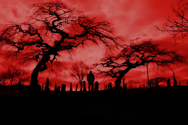 korkunç cehennem ateşi mezarlık pic korkutucu ağaçları ile - Fotoğraf, Görsel