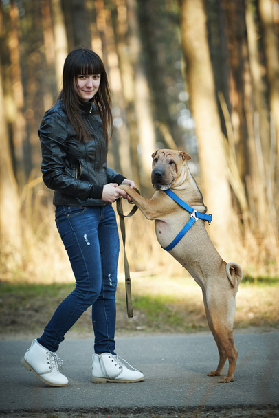 girl with dog in the park - Foto, imagen