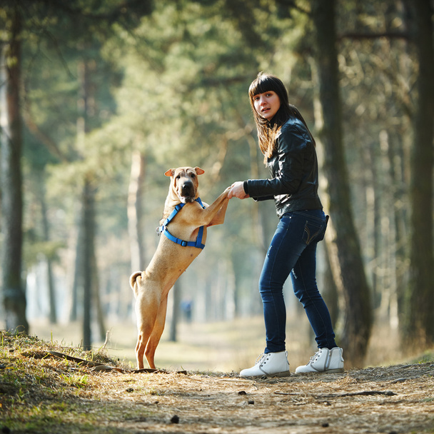 girl with dog in the park - Фото, зображення