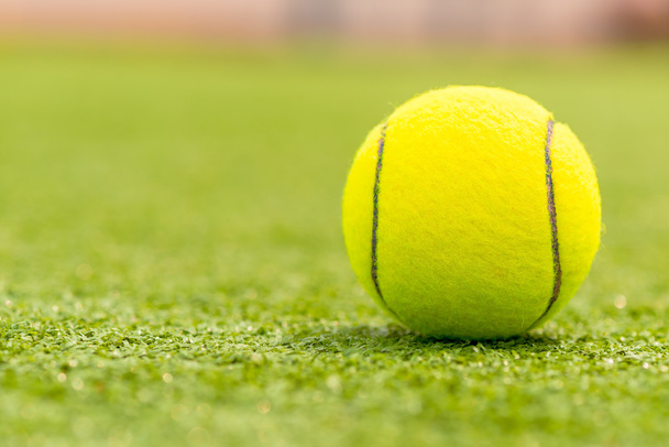 ball for playing tennis is on the green grass macro shot - Foto, Imagen