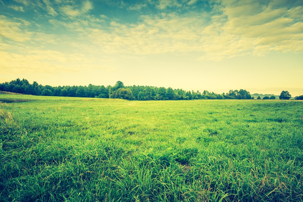 hermoso paisaje con prado de la mañana
 - Foto, Imagen