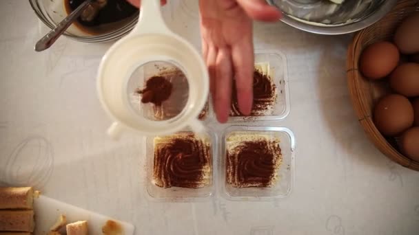 dusting tiramisu cake by powdered cocoa - Filmati, video