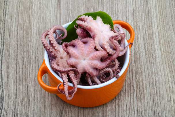 Marinated octopus - Photo, Image
