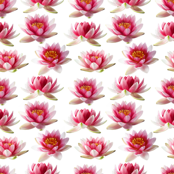 Lotus flowers seamless pattern - Photo, Image