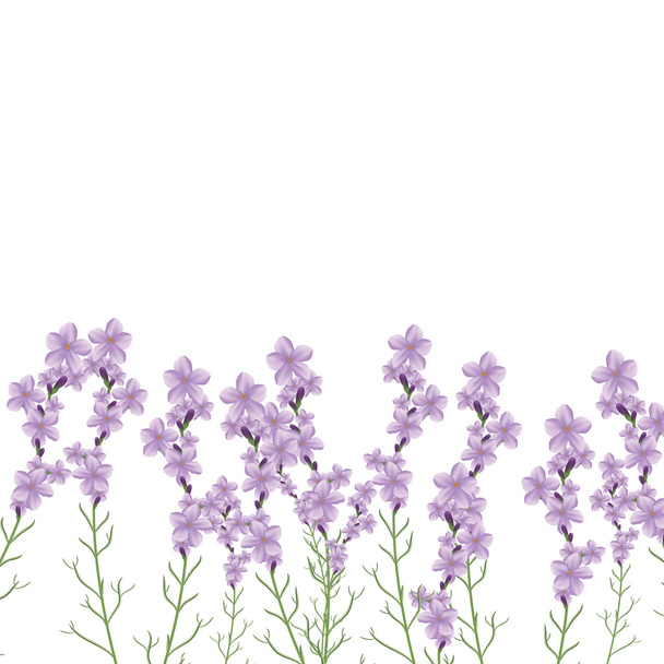 Realistic lavender flower vector illustration - Vector, imagen