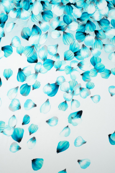 Μεταξωτό ύφασμα υφή. μπλε λουλούδια, μπλε, λευκό, κίτρινο. Στούντιο φωτογραφίας - Φωτογραφία, εικόνα