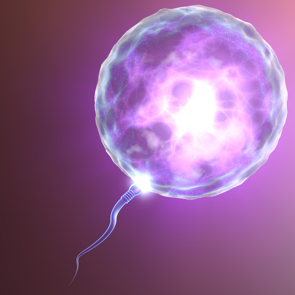 γονιμοποίηση σπέρμα με ωάριο σπερματοζωάριο - Φωτογραφία, εικόνα