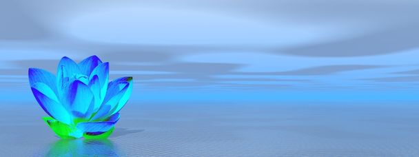 κρίνος λουλούδι στον μπλε Ωκεανό - Φωτογραφία, εικόνα