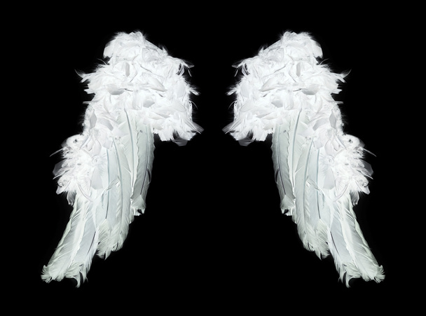 Крылья белого ангела
 - Фото, изображение