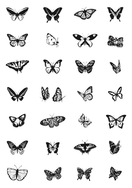 Set di farfalle - Vector, Imagen