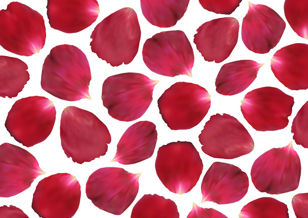 rosa Rosenblätter - Vektor, Bild