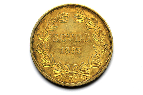 Back site of the Gold coins of Pivs IX Pont 1853 - Photo, Image