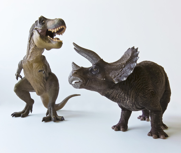 A Triceratops and Tyrannosaurus Against a White Background - Photo, Image