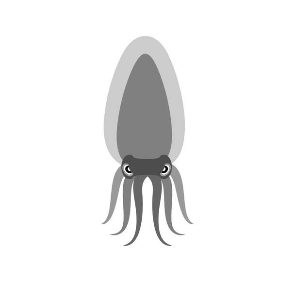 Squid on a white background. Vector illustration of a sea animal - Vector, Imagen