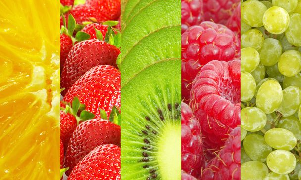 Здоровое питание. Сбор фруктов и ягод - Фото, изображение