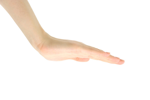 hand  on a white background - Photo, Image
