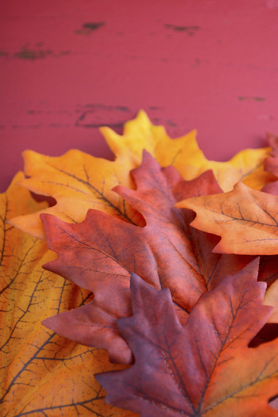 Осенний осенний фон
  - Фото, изображение