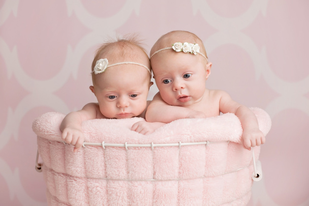 Twin bébé filles assis dans un panier de fil
 - Photo, image