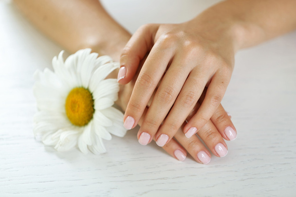 Woman hands with french manicure - Фото, изображение