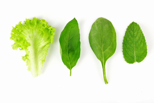 Green fresh leaves - Фото, зображення