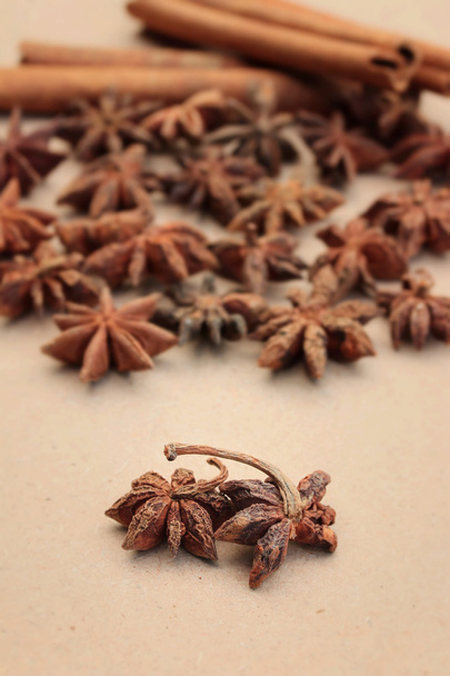 yıldız anason ve tarçın  - Fotoğraf, Görsel
