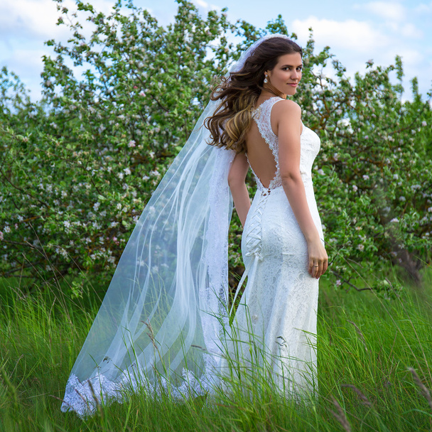 attractive young bride posing near blooming apple tree - Фото, изображение