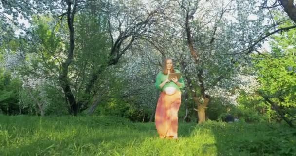 Pregnant woman with tablet PC walking in bloomy park - Кадри, відео