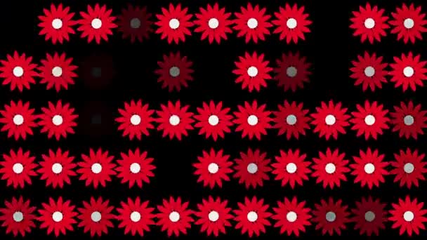 Abstract red flowers in rows on black - Filmagem, Vídeo