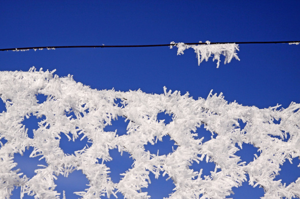 Wire-netting hek met rijm in de winter - Foto, afbeelding