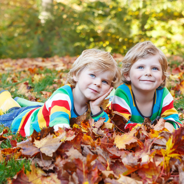 Two little kid boys laying in autumn leaves in colorful clothing - Fotografie, Obrázek