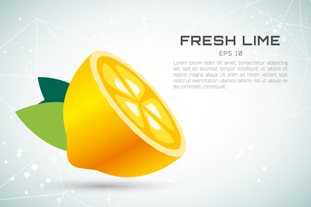 Lime or lemon fruit slice. Lemonade juice logo icon template design - Vector, afbeelding
