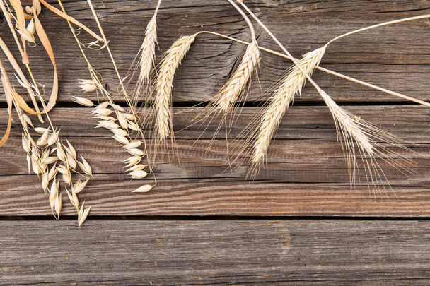 Orelhas de trigo na velha mesa de madeira
 - Foto, Imagem