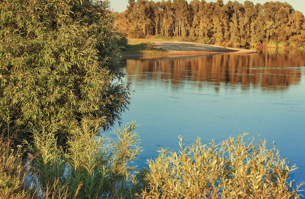 Krajina s obrazem na řeku a okolní přírody - Fotografie, Obrázek