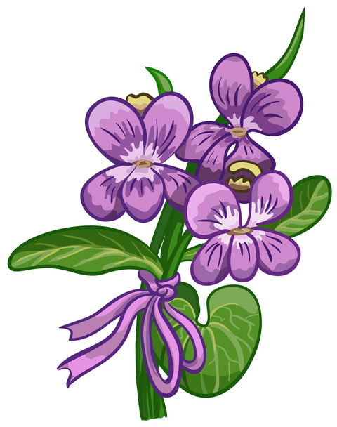 bouquet of violets tied with a ribbon - Vektor, Bild