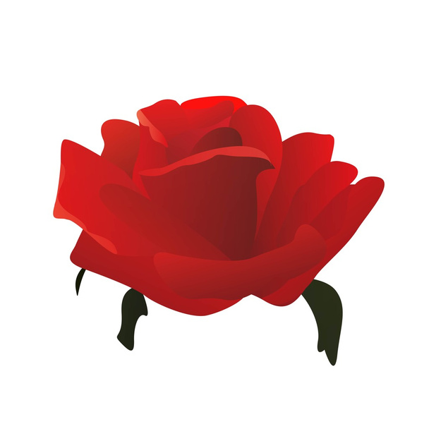 Vector Red Rose - Vector, Image