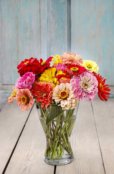 Bouquet of zinnia flowers - Foto, imagen